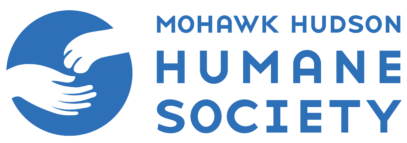 About the Mohawk Hudson Humane Society campaign on Bonfire 2