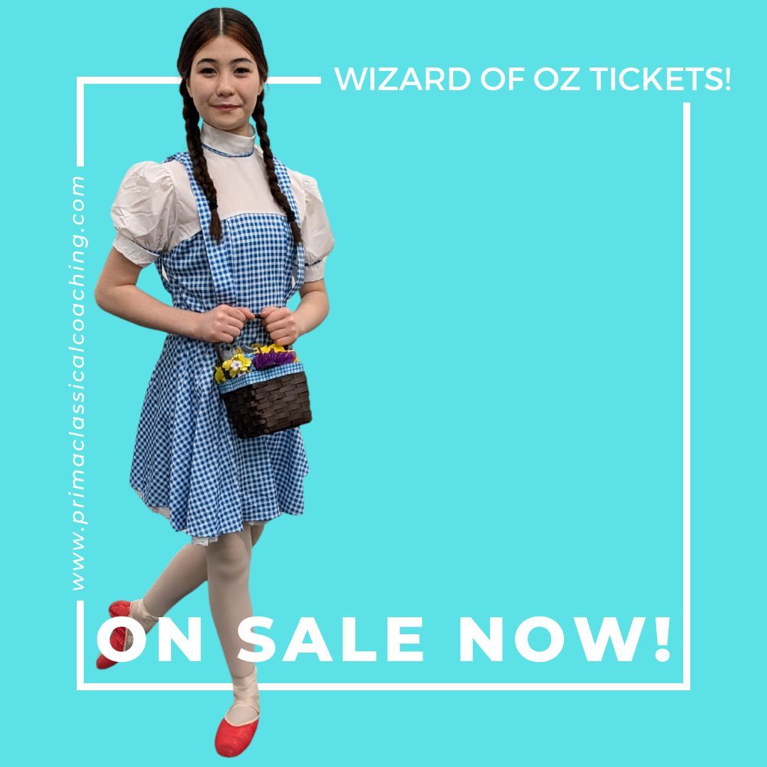 About the Wizard of Oz Mugs&nbsp; campaign on Bonfire 2