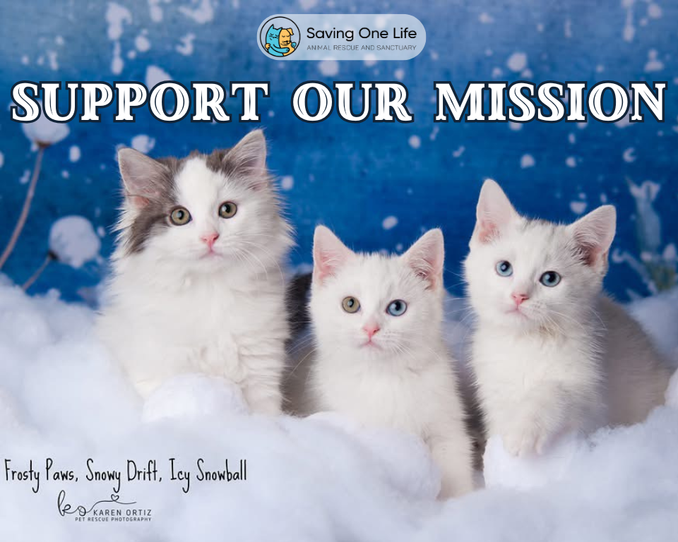 About the Saving One Life Winter Apparel Fundraiser&nbsp; campaign on Bonfire 2