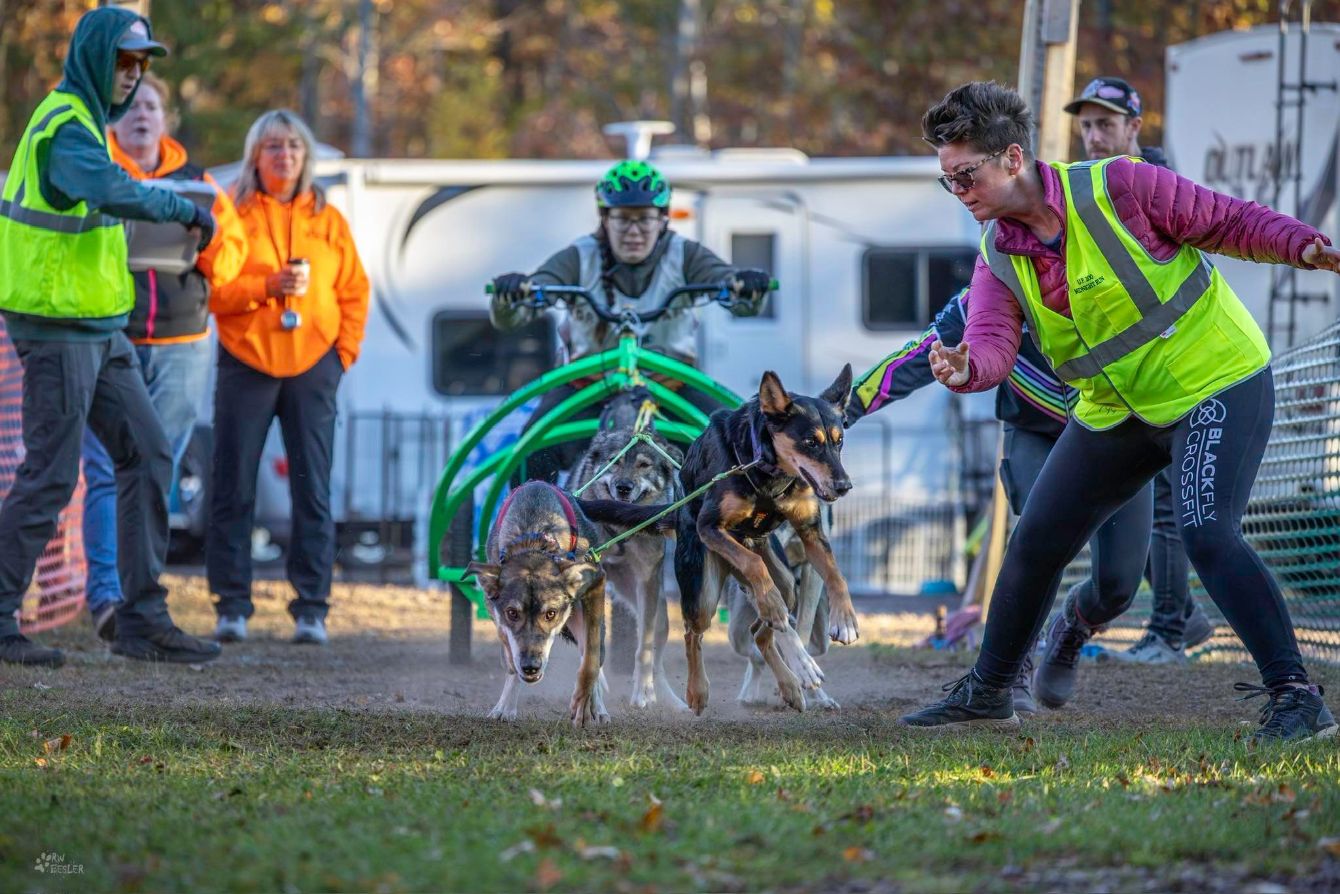 About the Chasing The Wolves Merch campaign on Bonfire 2