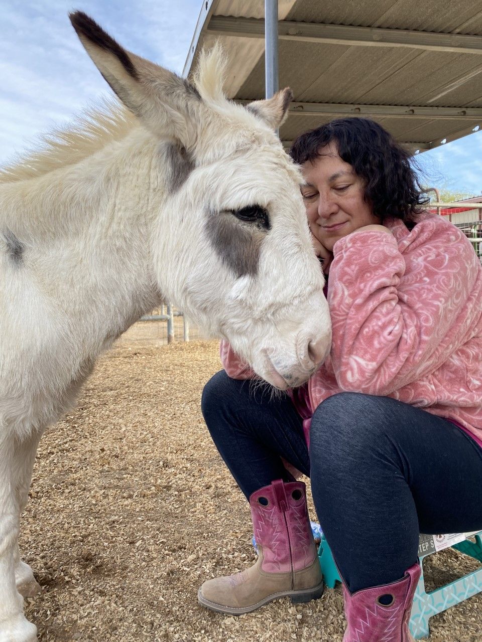 About the Doing Nothing with Donkeys campaign on Bonfire 3