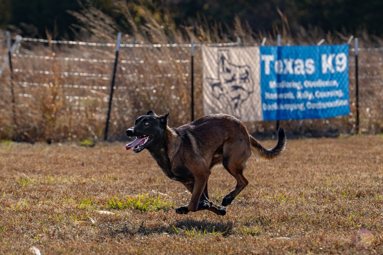 About the Team Drax Goes Global :FMBB 2026 campaign on Bonfire 3