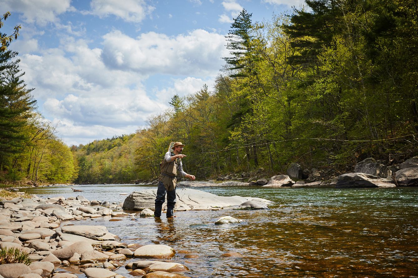 About the CATSKILLS ON THE FLY campaign on Bonfire 2