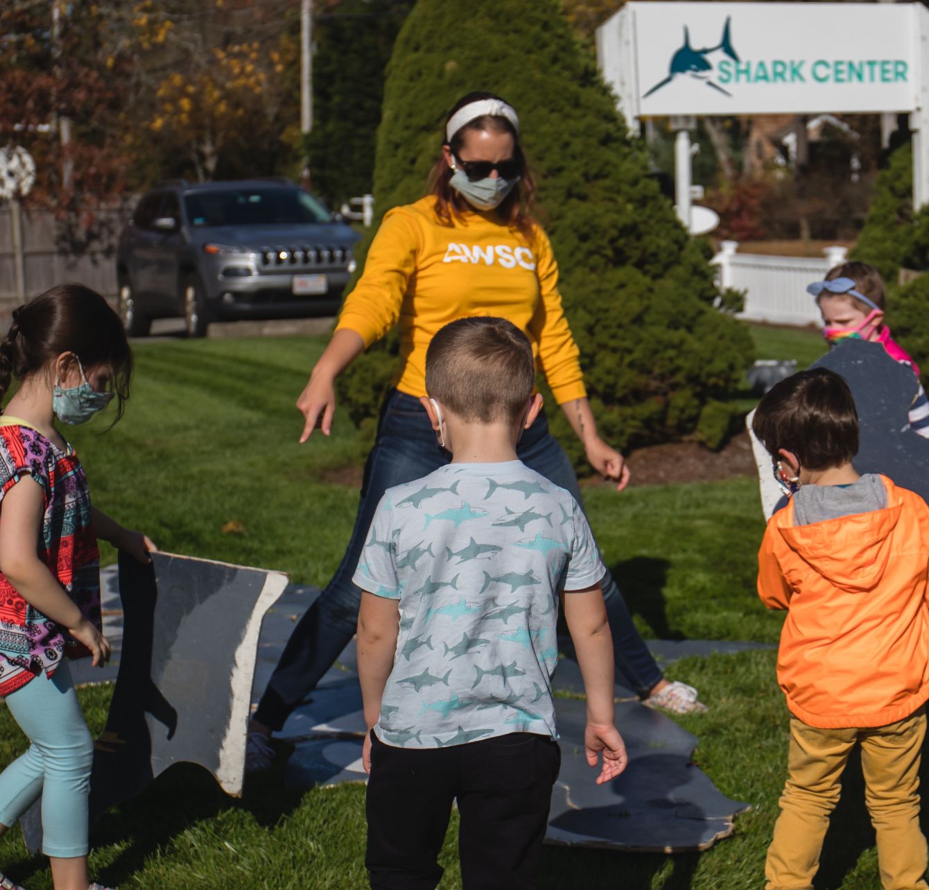 About the Shark Anatomy campaign on Bonfire 2