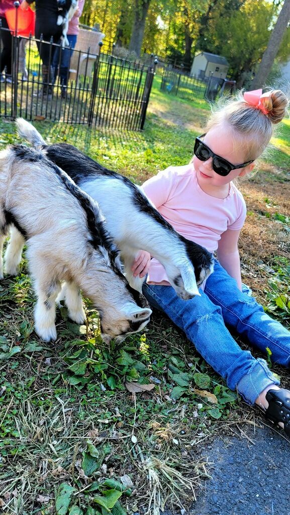 About the Purple for Emma - Dravet Syndrome Awareness campaign on Bonfire 9