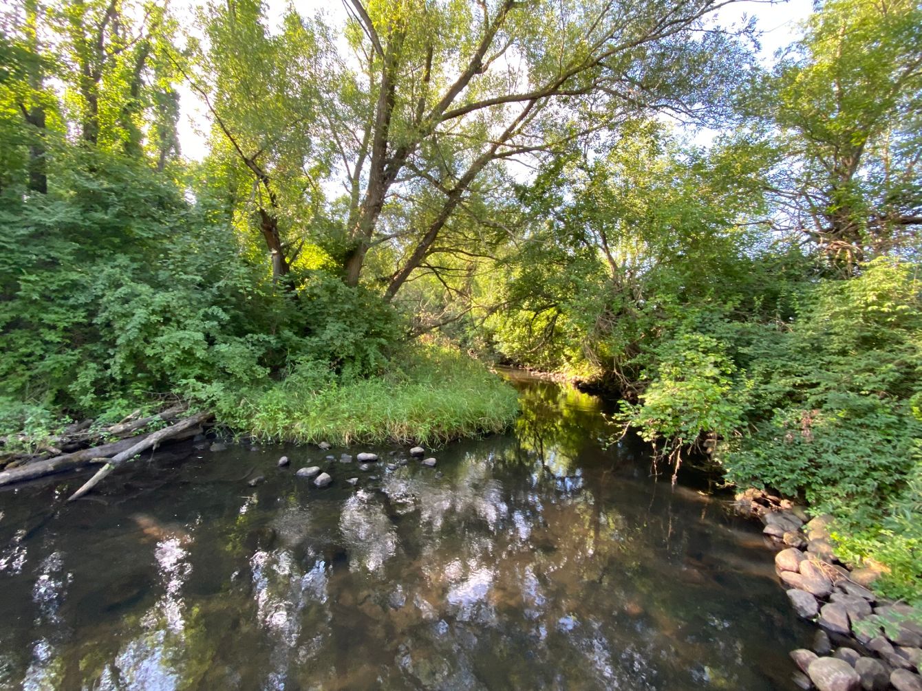 About the Cobus Creek County Park - Shirts campaign on Bonfire 2