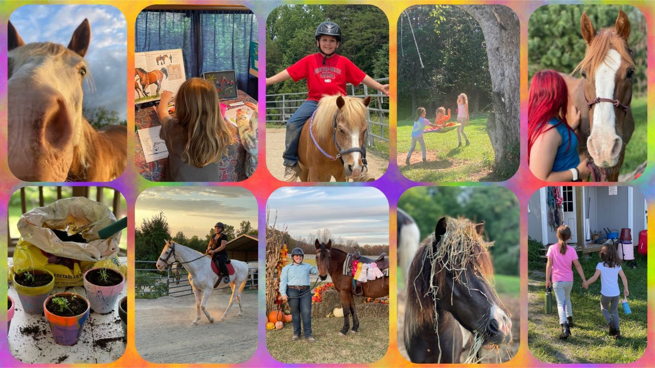 About the Storm Chaser Squad: Saddle Up for Support! campaign on Bonfire 1