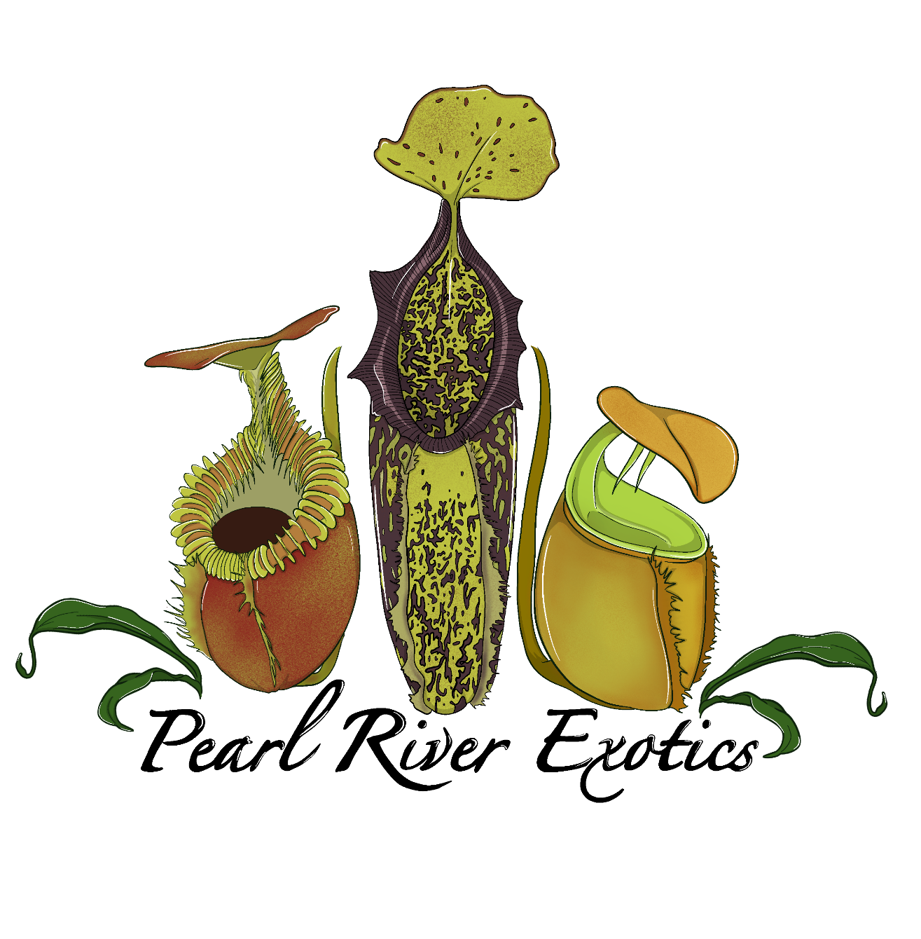 About the Pearl River Exotics Nepenthes Trio Shirt campaign on Bonfire 2