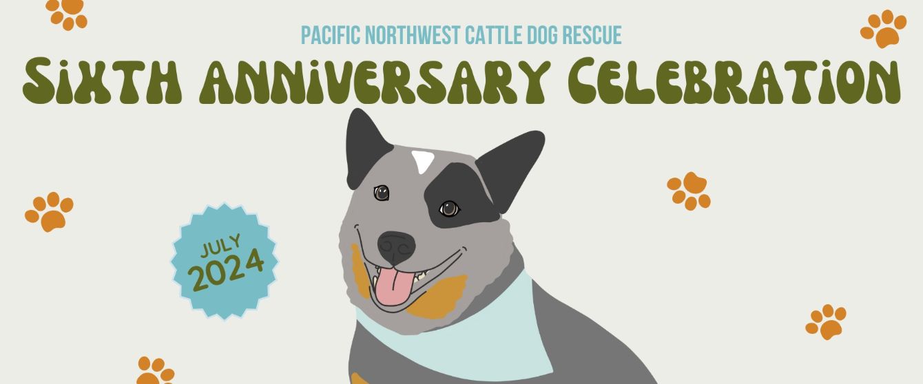 About the Cowboy Percy - Black campaign on Bonfire 2