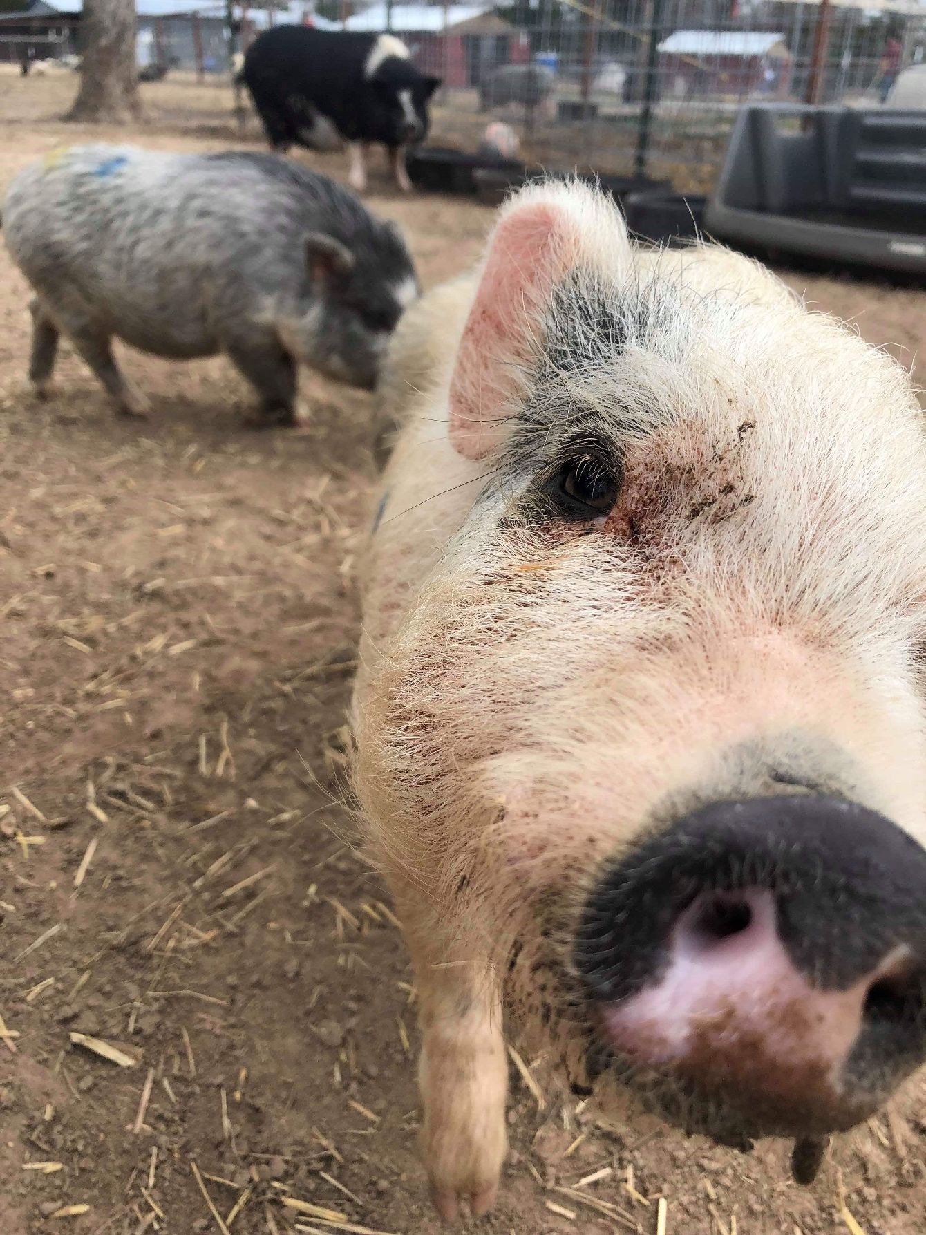 About the The Future is Kind campaign on Bonfire 7