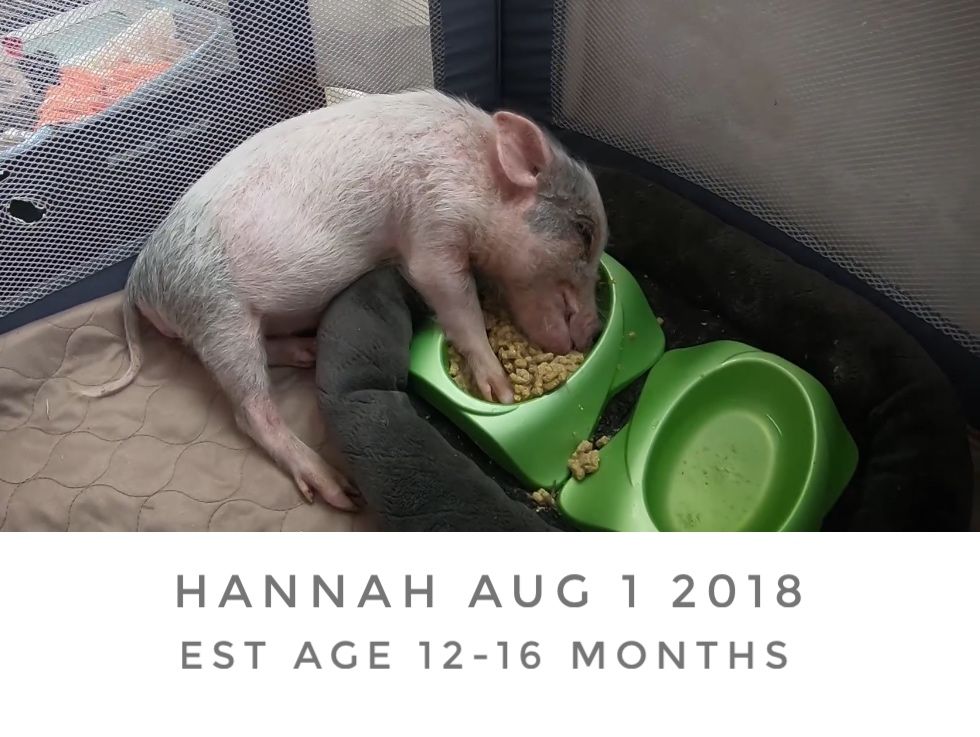 About the The Future is Kind campaign on Bonfire 3