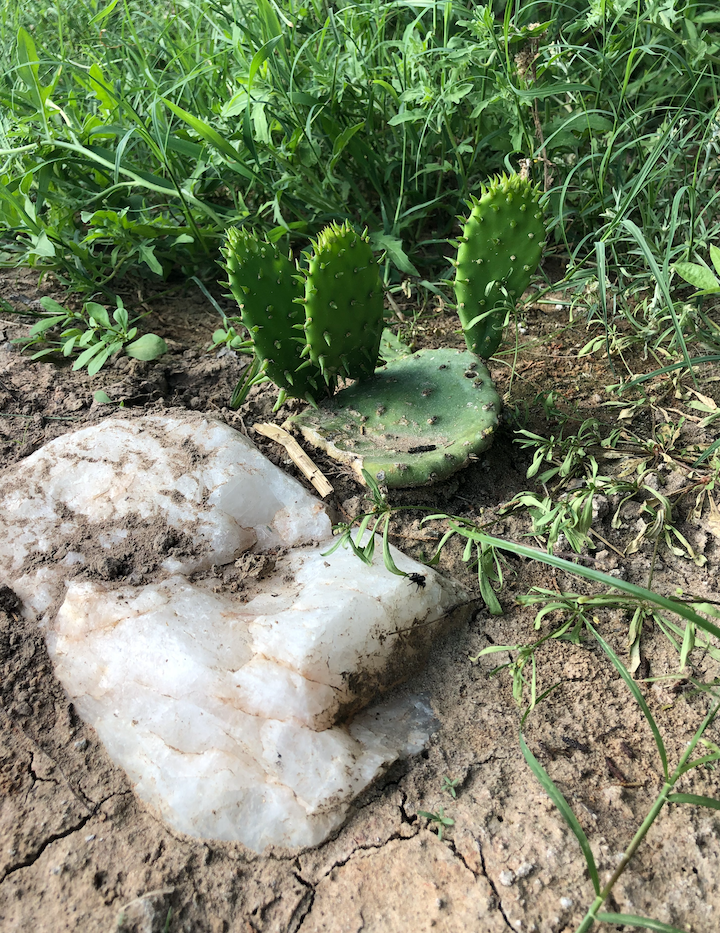 About the The Future is Kind campaign on Bonfire 11