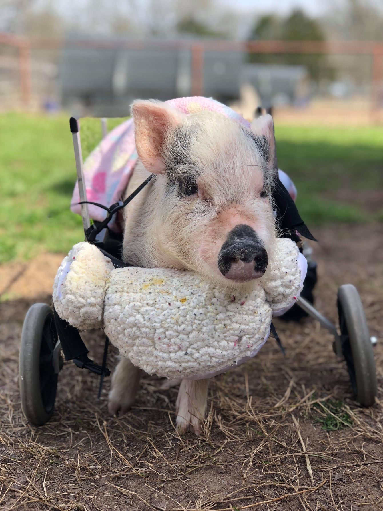 About the The Future is Kind campaign on Bonfire 9