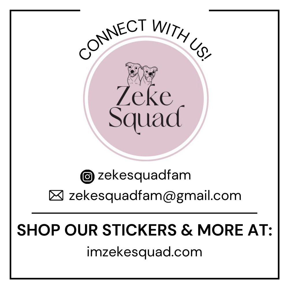 About the MUZZLED DOGS ARE NOT BAD DOGS campaign on Bonfire 2