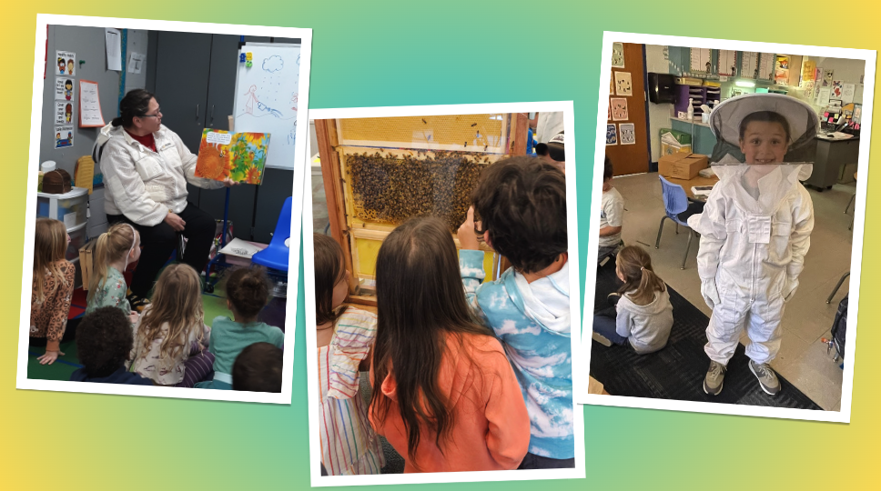 About the Bee Curious campaign on Bonfire 1