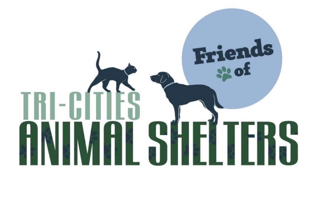 About the I?m Walking An Adoptable Dog&nbsp; campaign on Bonfire 2