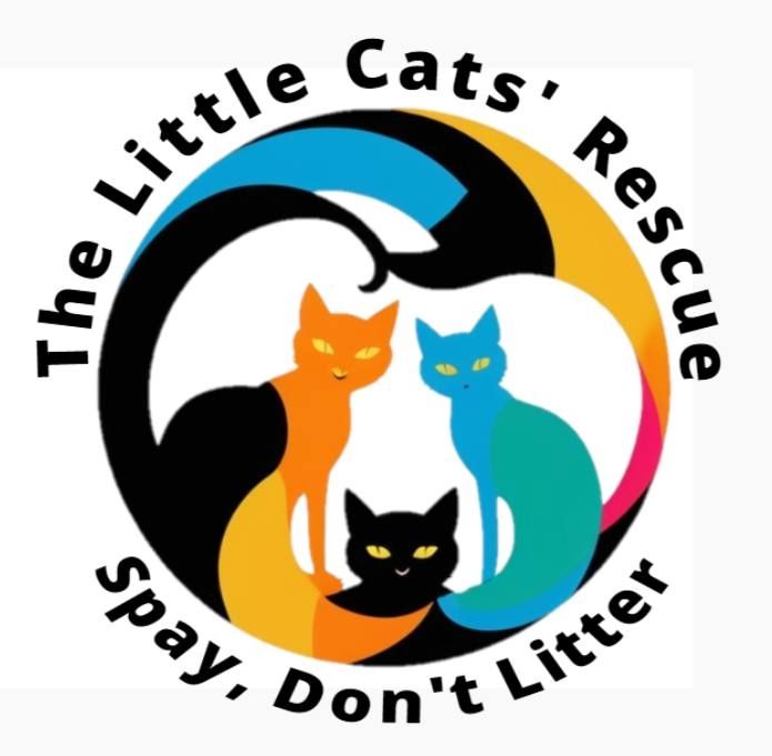 About the Spay Don't Litter campaign on Bonfire 2