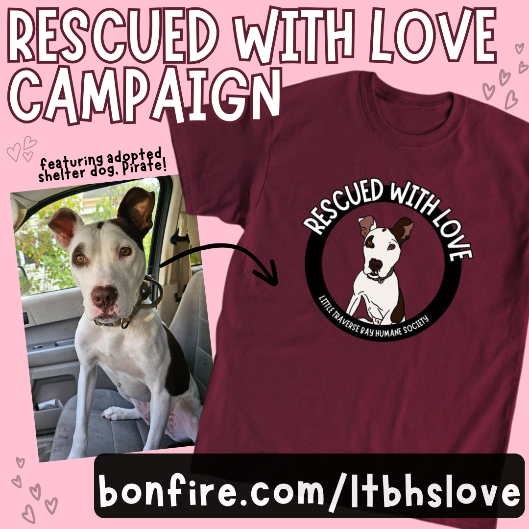 About the Love Unleashed campaign on Bonfire 2