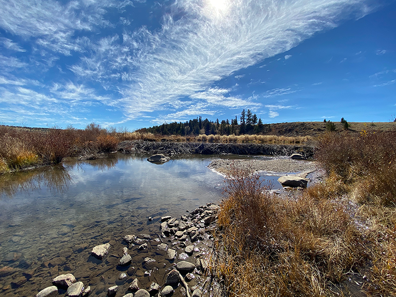 About the Beaver Believer Water Bottle campaign on Bonfire 2
