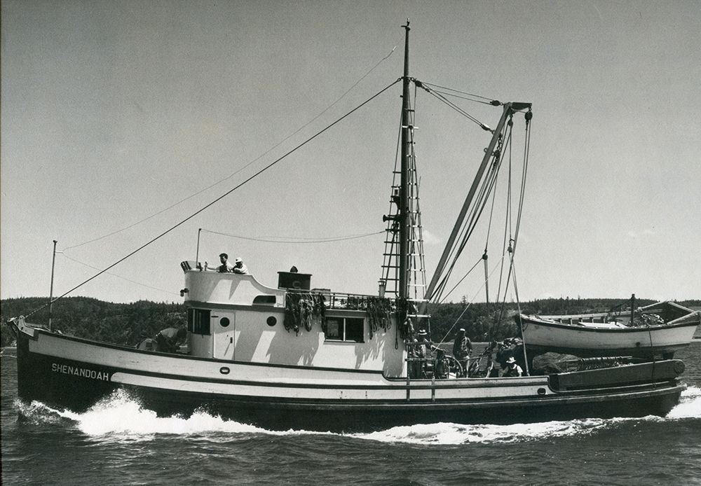 About the Shenandoah~Fish Boat with a Past campaign on Bonfire 3
