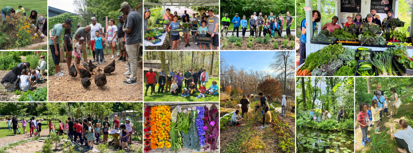 About the CEI's Earth Month Fundraiser - Freetown Farm campaign on Bonfire 2