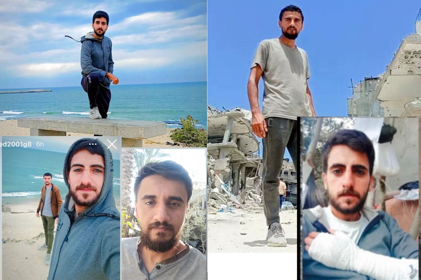 About the Watermelon Seeds campaign on Bonfire 3