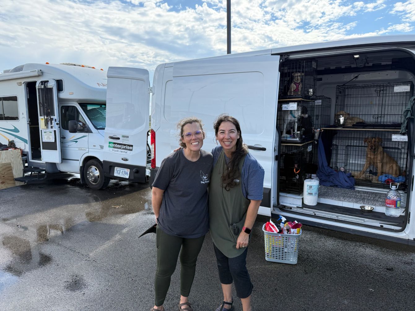 About the Hightailing Home Pet Transport campaign on Bonfire 3