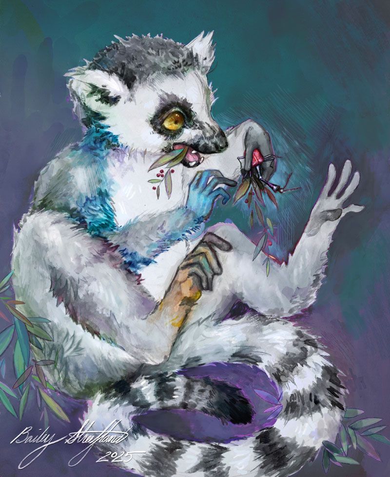 About the World Lemur Festival Clothing campaign on Bonfire 3