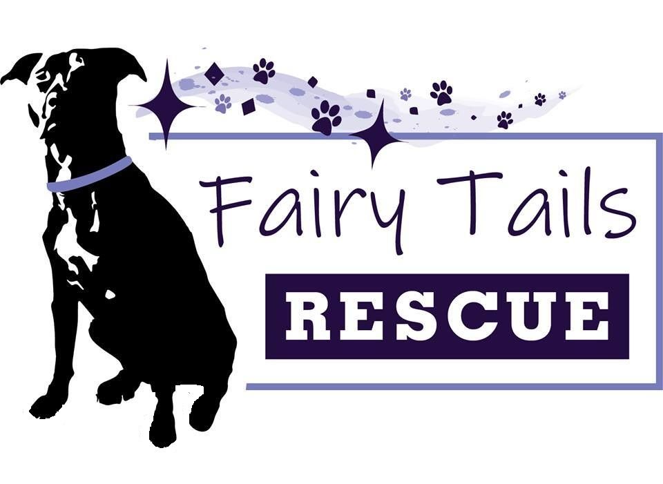 About the Fairy Tails Rescue T Shirt Fundraiser&nbsp; campaign on Bonfire 2