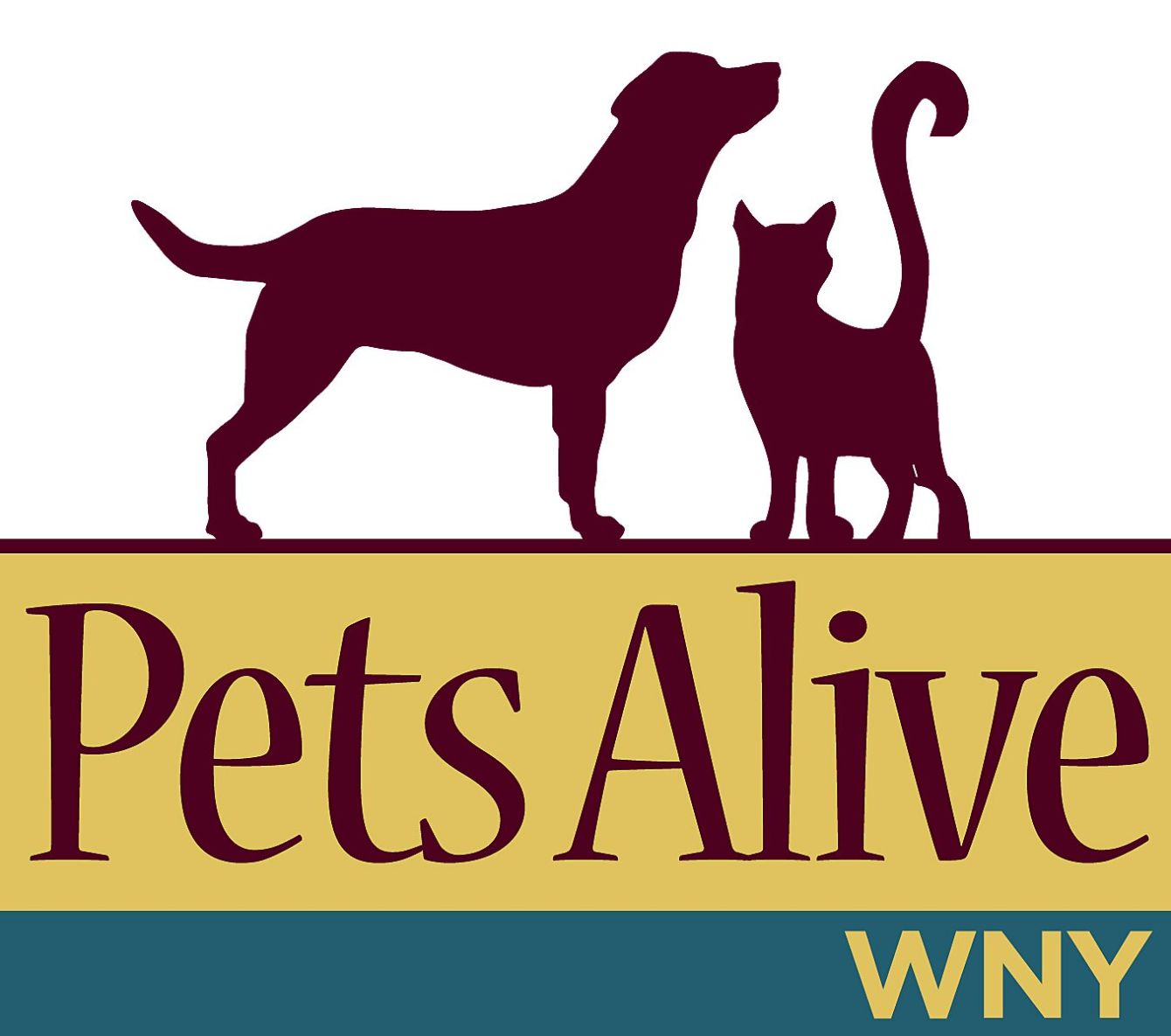 About the 2019 Pets Alive WNY campaign on Bonfire 2