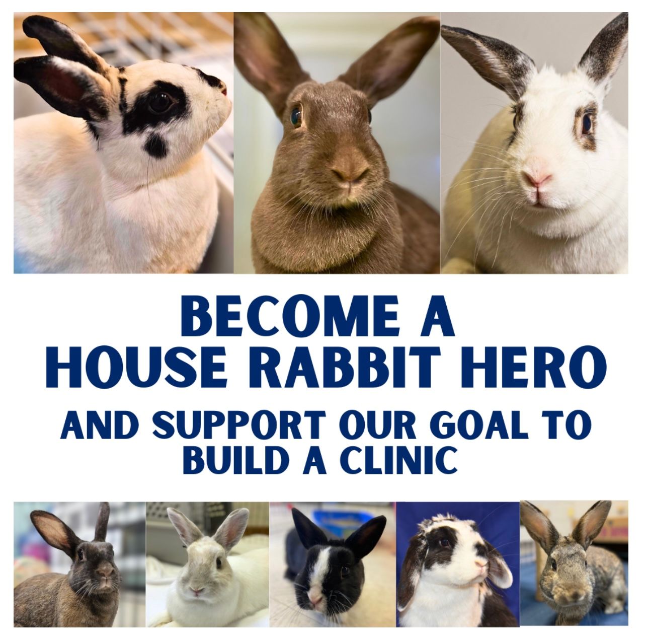 About the HRN Vintage League- Dark campaign on Bonfire 2