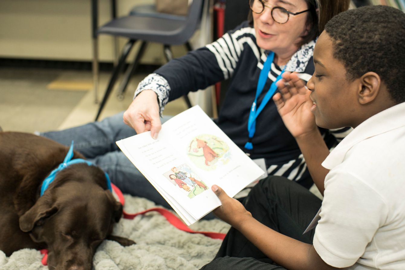 About the SitStayRead for your Little Ones campaign on Bonfire 2