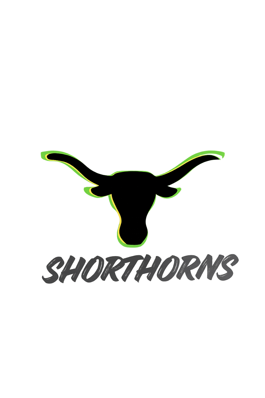 About the  campaign on Bonfire 2