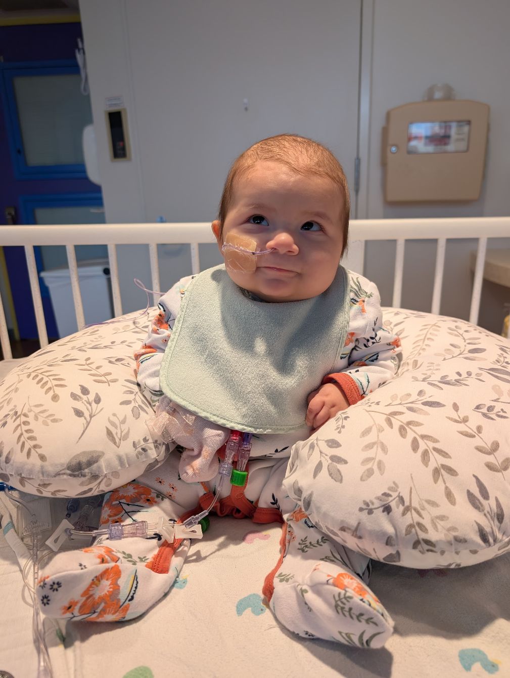 About the Team Evelina ? campaign on Bonfire 4