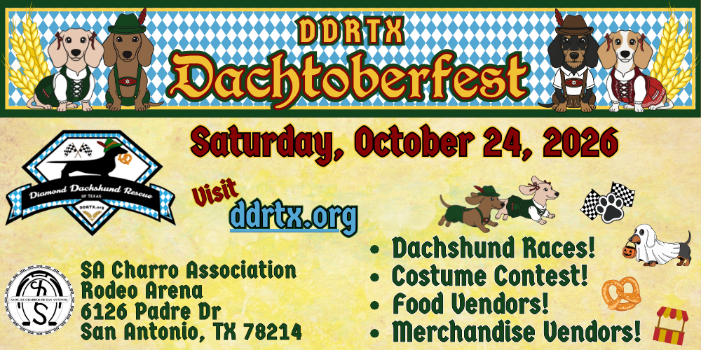 About the DDRTX Dachtoberfest 2026 campaign on Bonfire 2