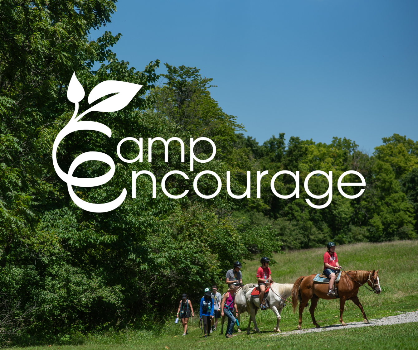 About the Root For Each Other campaign on Bonfire 2