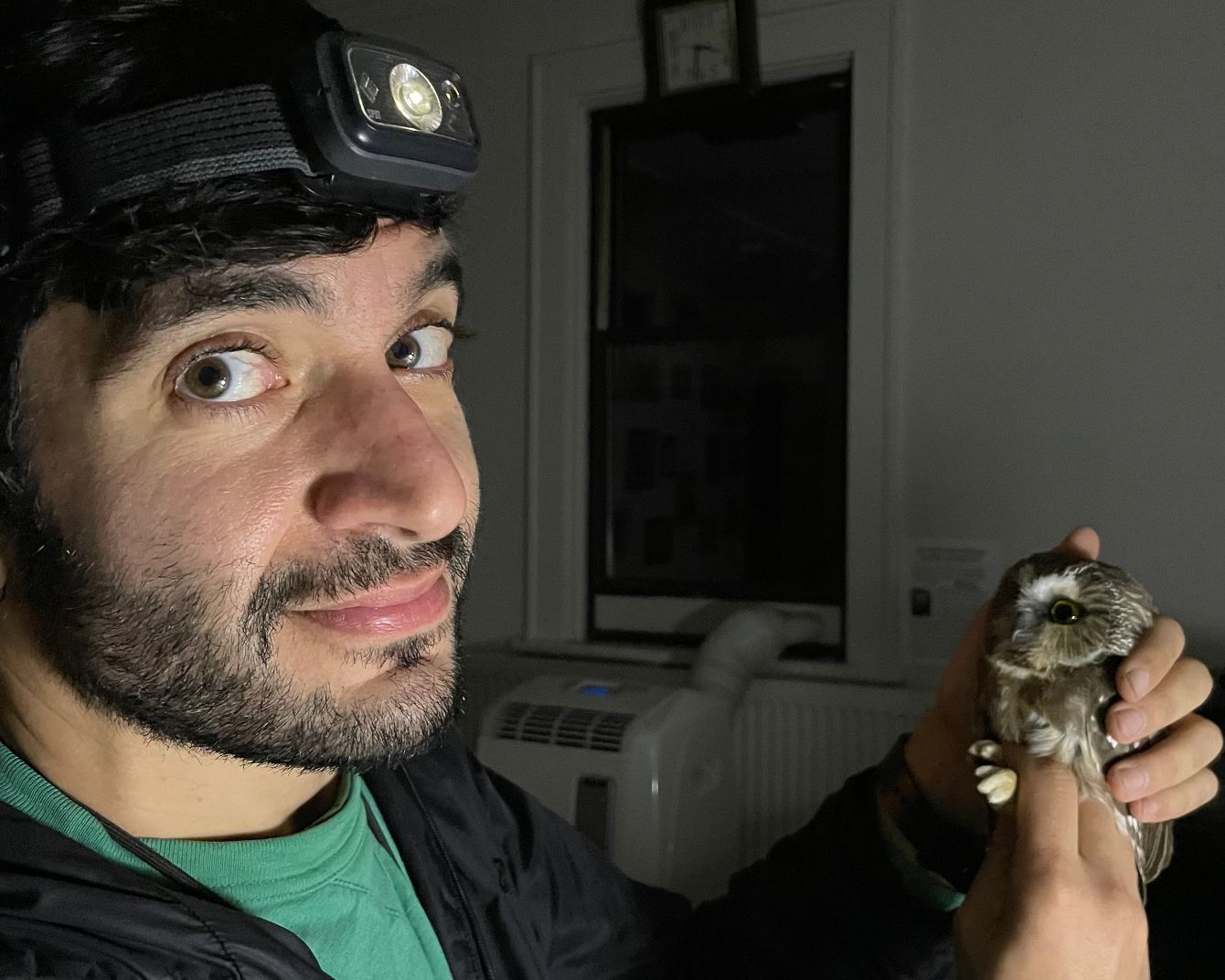 About the Bird Lab's Northern Saw-whet Owl Banding campaign on Bonfire 3
