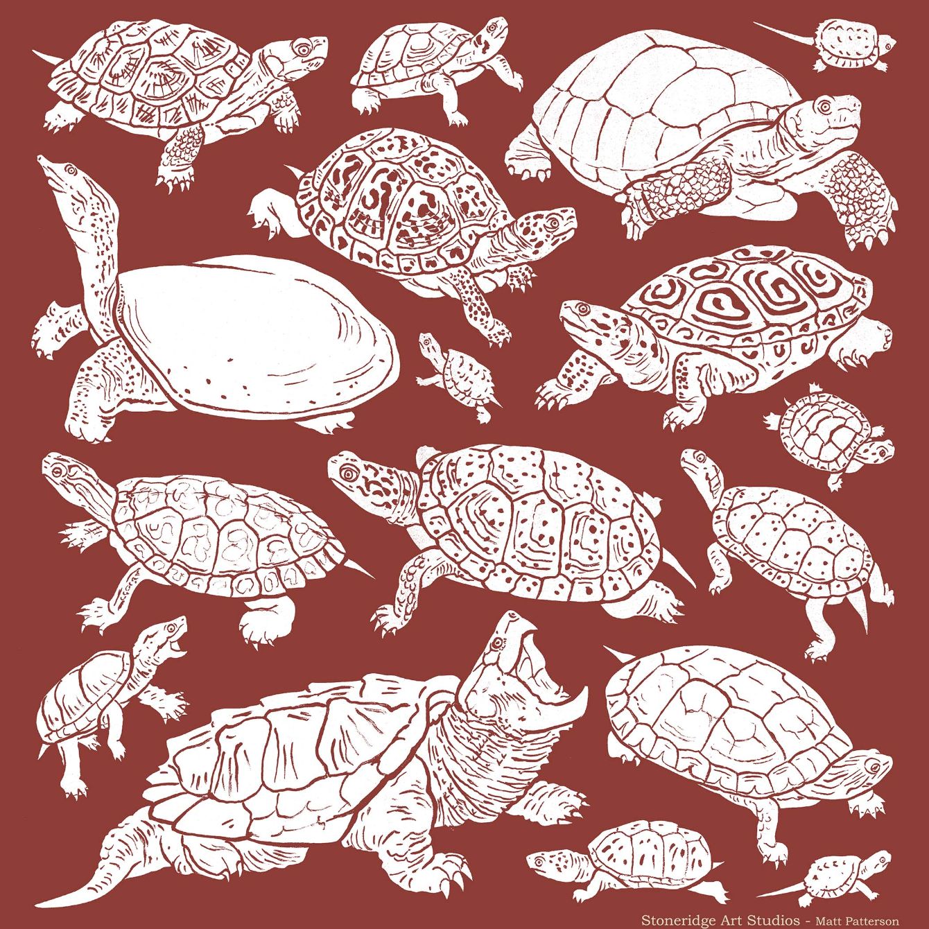 About the NEW! North American Turtle Shirt! campaign on Bonfire 2