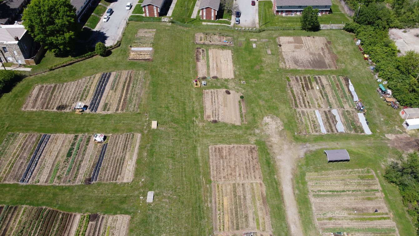 About the New Roots campaign on Bonfire 2