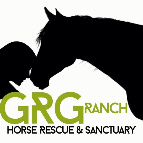 About the  campaign on Bonfire 2