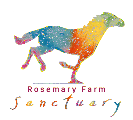 About the RF Tie Dye! the tank/short sleeve version! campaign on Bonfire 2