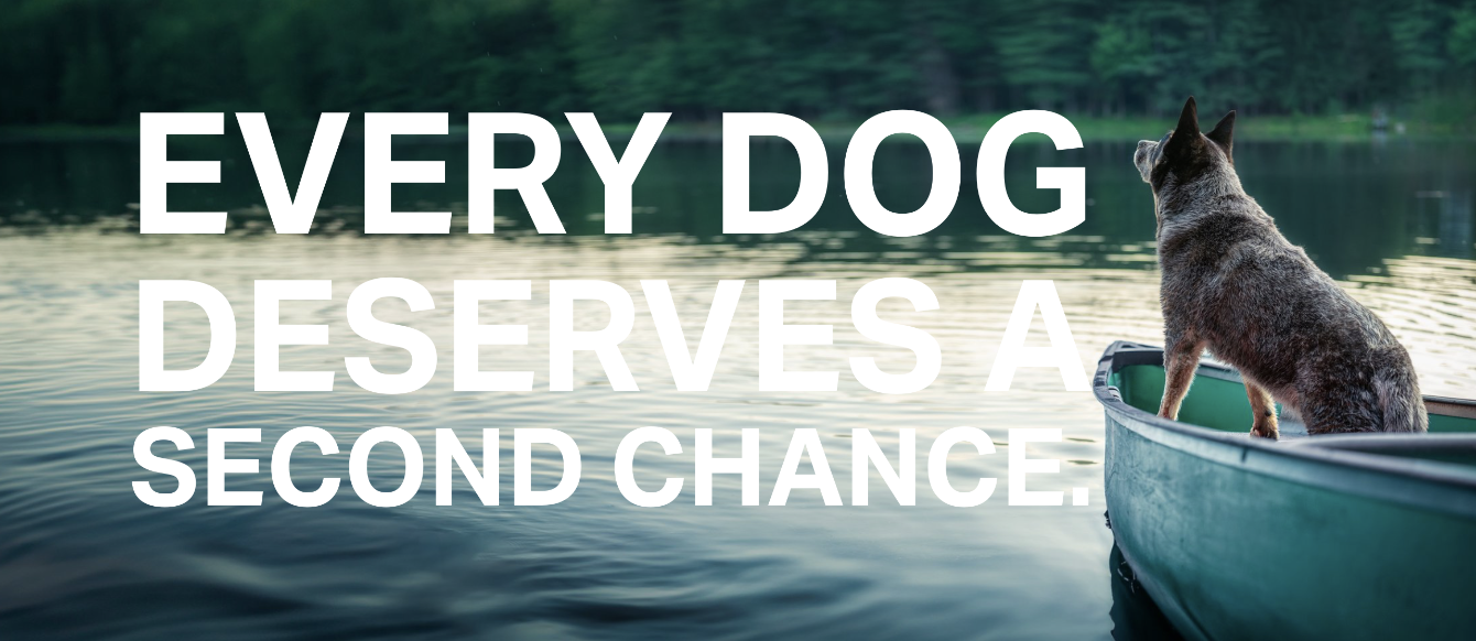 About the The Greatest Adventure Official Launch Tee campaign on Bonfire 2