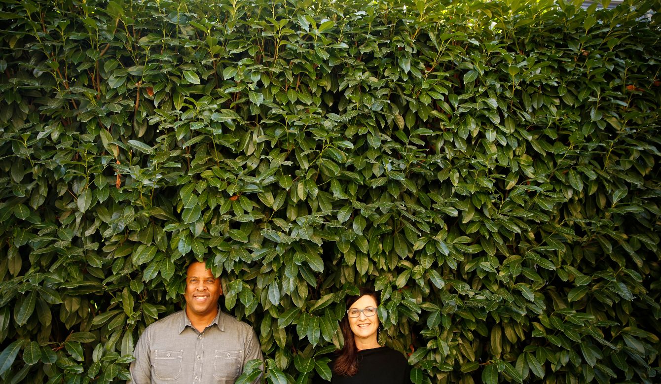 About the  campaign on Bonfire 2