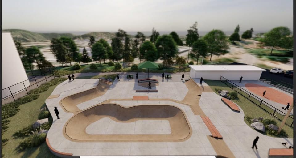 About the Colfax Skatepark campaign on Bonfire 2