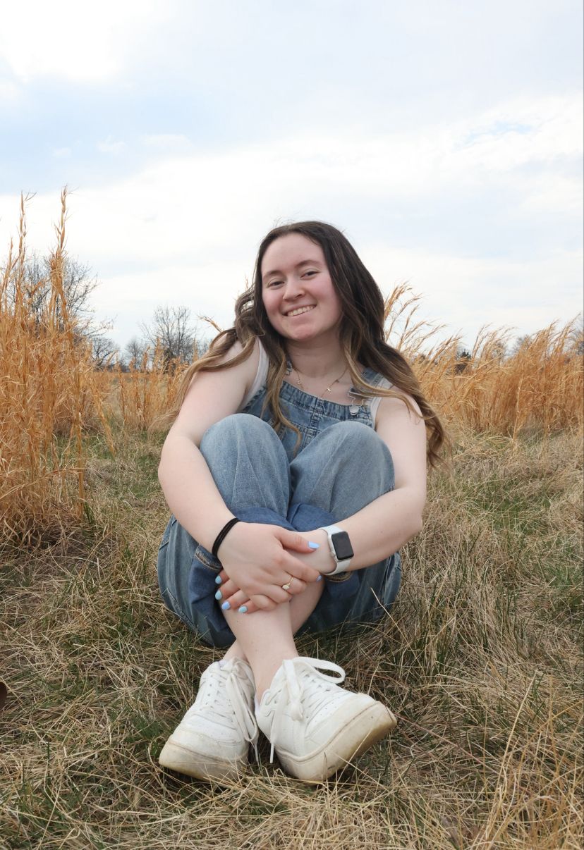 About the  campaign on Bonfire 2