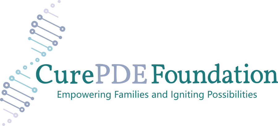 About the  campaign on Bonfire 7