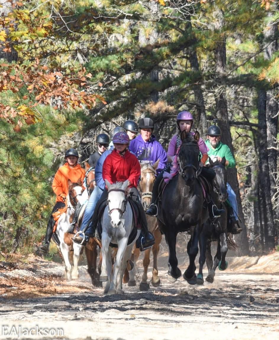 About the Fearless Endurance campaign on Bonfire 2