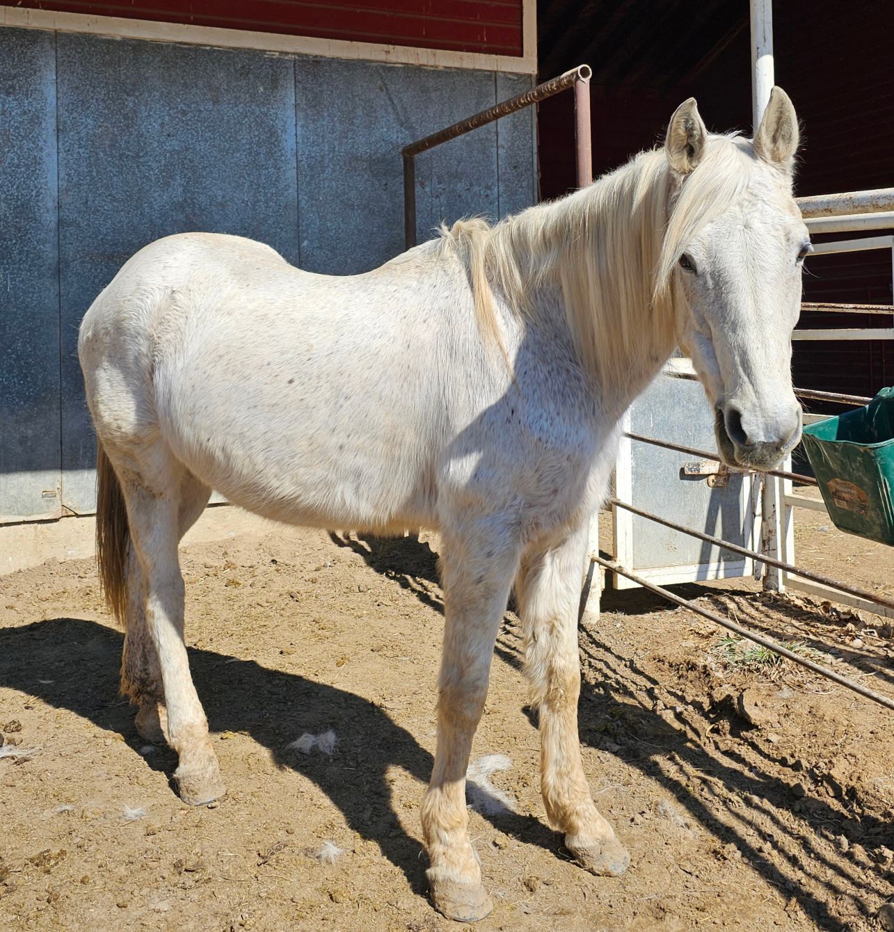 About the  campaign on Bonfire 5