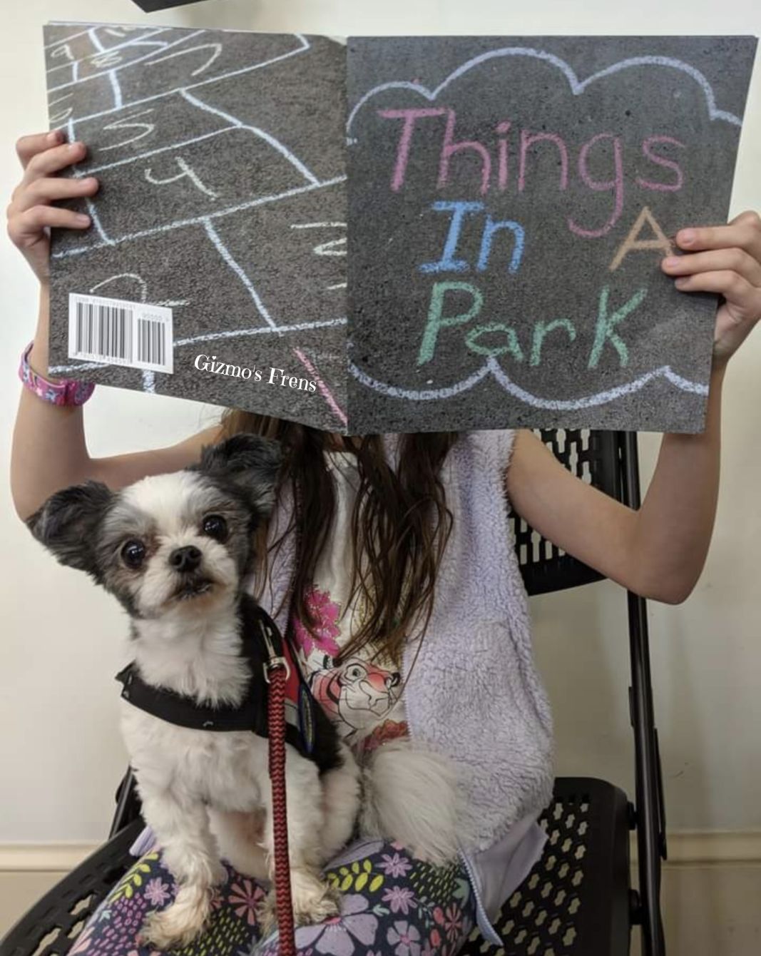 About the Love can move mountains: Gizmo's Retirement&nbsp; campaign on Bonfire 2