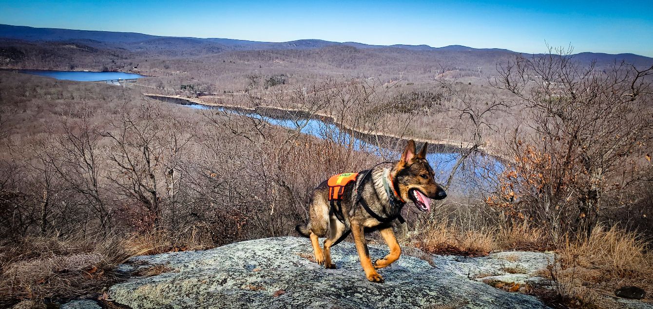 About the  campaign on Bonfire 6